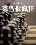 網遊之菜鳥很瘋狂