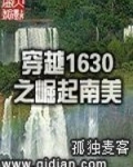 穿越1630之崛起南美