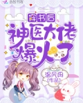 穿書後神醫大佬爆火了