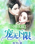 閃婚大叔，寵無下限