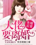婚婚來遲，大佬要離婚