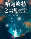 霍格沃茨之巫師至上