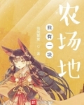 我有一塊農場地