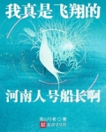 我真是飛翔的河南人号船長啊