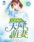 為愛癡狂：天降萌妻