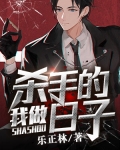 我做殺手的日子