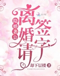 隐婚老公：離婚請簽字