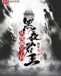 從傀儡皇子到黑夜君王