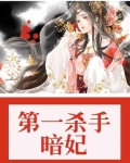 第一殺手暗妃