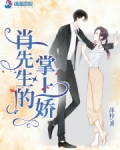 肖先生的掌上嬌