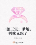 一胎三寶：爹地，媽咪又跑了
