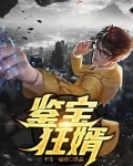 鑒寶狂婿