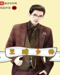 王牌少帥