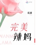 完美辣媽
