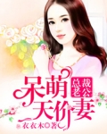 總裁老公：呆萌天價妻