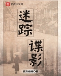 迷蹤諜影