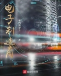 電子制造商
