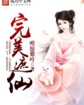 完美遮仙