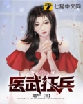 醫武狂兵
