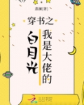 穿書之我是大佬的白月光