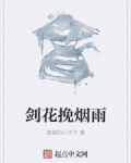 劍花挽煙雨