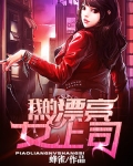 我的漂亮女上司