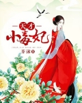 天才小毒妃(又名:芸汐傳)
