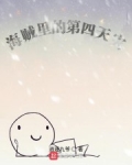 海賊裡的第四天災