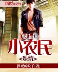 極品小農民系統