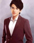 上門女婿葉辰