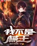 我不是械王