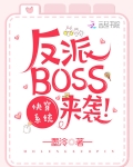 快穿系統之反派BOSS來襲