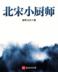 北宋小廚師