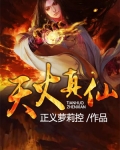 天火真仙