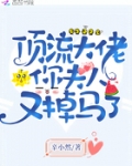 頂流大佬你夫人又掉馬了