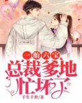 一胎六寶之總裁爹地忙壞了