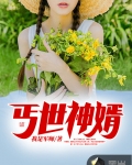 丐世神婿