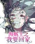 海賊王之我要回家