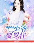 小妻多嬌：少爺要忍住