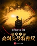 我真不是亮劍頭号特種兵