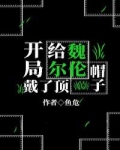 開局給魏爾倫戴了頂環保帽