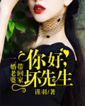 二婚老婆帶回家：你好，壞先生