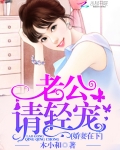 嬌妻在下：老公請輕寵