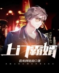 上門霸婿