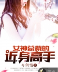 女神總裁的近身高手