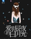 愛是辰夜的白月光