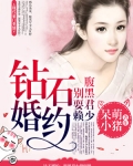 鑽石婚約：腹黑君少别耍賴