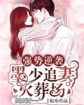 強勢逆襲：墨少追妻火葬場