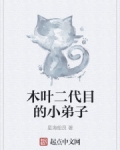 木葉二代目的小弟子