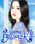 燃情霸愛：首席的心尖寵